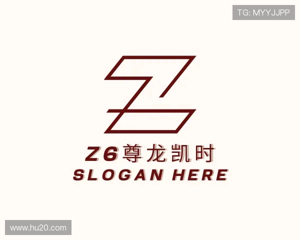 了解z6尊龙凯时
